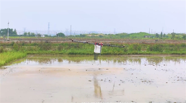 图片四（1）.jpg
