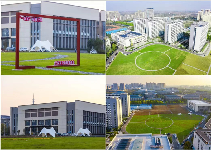 1.场地改造.jpg