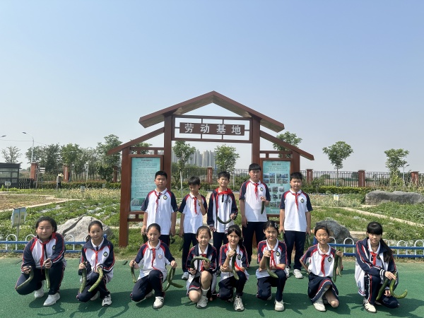 图片2.jpg
