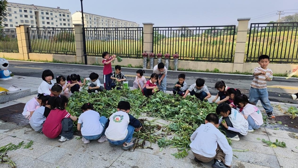 图片14.jpg