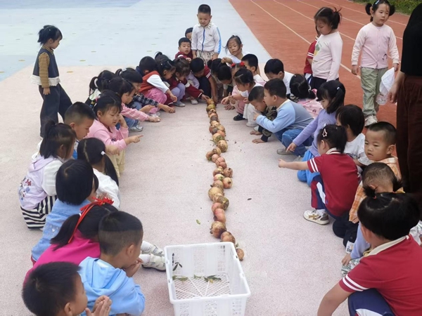 图片1.jpg